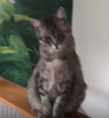 Julchen Grand Dame der Extraklasse