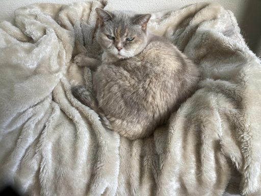 Nelly Grand Dame mit Knutschfaktor