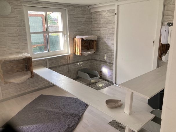 Katzenzimmer 7 Katzenzimmer 7