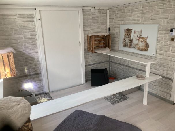 Katzenzimmer 7 Katzenzimmer 7