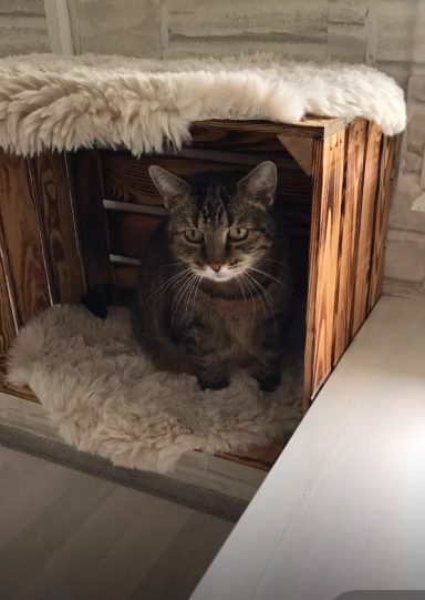 Milly kleine Zuckerschnute