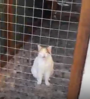 Lilly Maus hat immer was zu erzählen