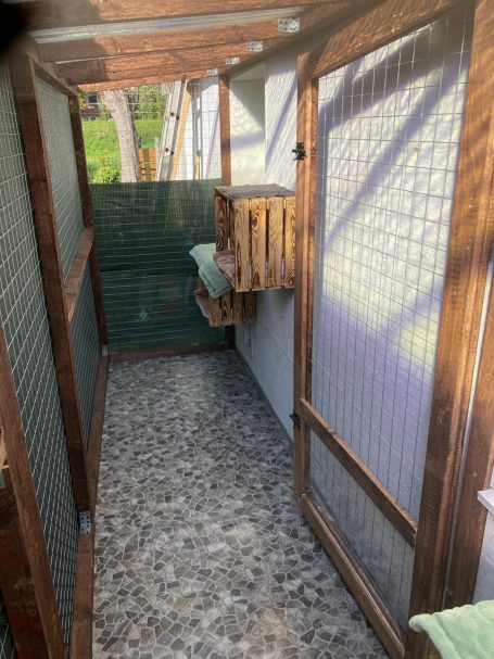 Katzenzimmer 6+7 Außengehege Katzenzimmer 6+7 Außengehege
