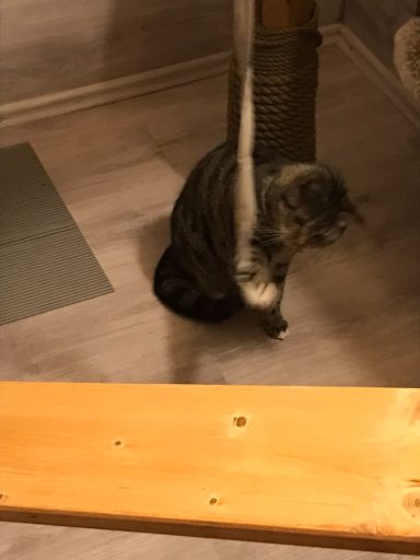 George - beim spielen