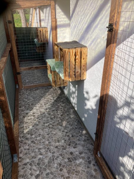 Katzenzimmer 6+7 Außengehege Katzenzimmer 6+7 Außengehege