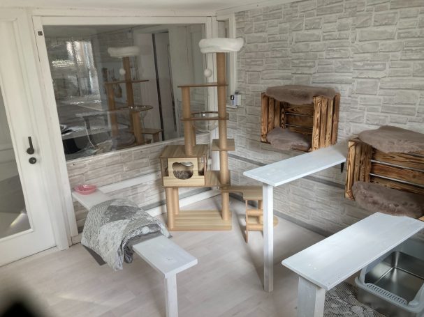 Katzenzimmer 6 Katzenzimmer 6