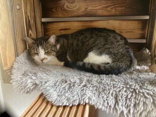 Nelly - fitte hübsche Seniorin