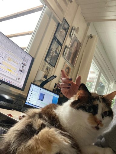 MUSSI - hilft bei der Arbeit -trotz Urlaub